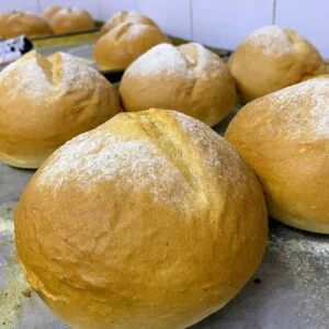 Pan Cook Medellín domicilio